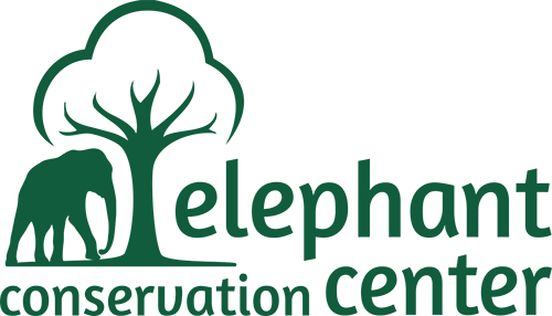 Elephant Conservation Center Laos