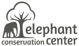 Elephant Conservation Center Laos